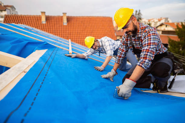 Best Roof Leak Repair  in Port Morris, NJ